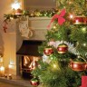 Kako se kupuje najbolje božićno drvce?