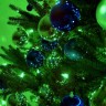 Vaše božićno drvce ima više DNK od vas