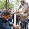 Kung-fu majmuni napali trenera