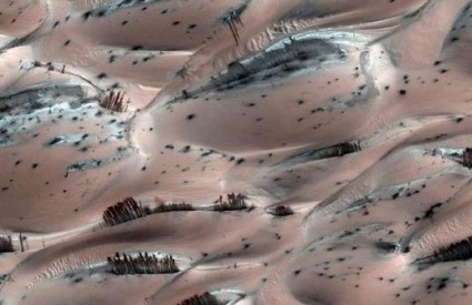 NASA pronašla drveće na Marsu