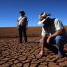 Gubici uroda u Europi tri puta veći zbog suša