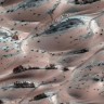 Je li NASA pronašla drveće na Marsu?
