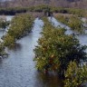 Loša energetska politika uništava deltu Neretve