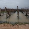 Neretva nabujala zbog oborina, najgore u Kominu