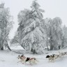 Ako ste rođeni u zimi pripazite na mentalno zdravlje