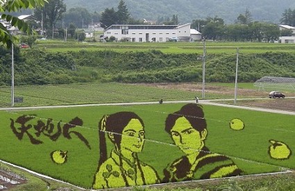 Čarobna umjetnost na rižinim poljima