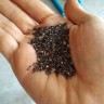 Chia sjemenke - zanimljiva supernamirnica