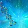 Dekodiranje DNK možda i nije tako korisno