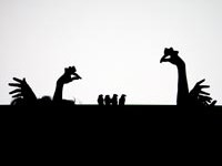 Na Slike s izložbe i Karneval životinja u ZKL IDU: