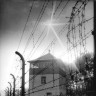 Obilježena 65. obljetnica oslobođenja logora Buchenwald 