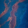 Nema rješenja za naftnu mrlju u Meksičkom zaljevu