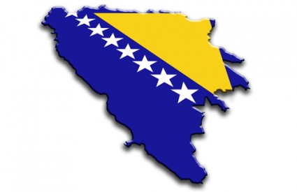 BiH glasovanje dijaspora