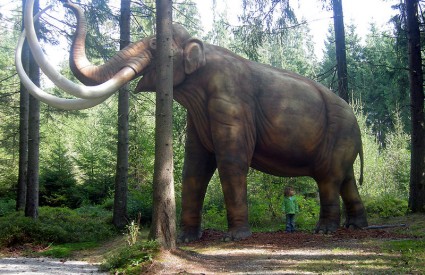Izumiranje mamuta dovelo je do globalnog zahlađenja