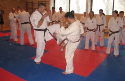 kyokunshinkai karate sparing