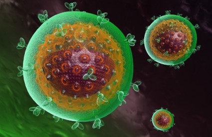 Virusi su infektivne čestice