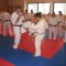 kyokunshinkai karate sparing