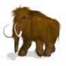 Znanstvenici žele oživjeti izumrlog vunastog mamuta