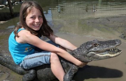 aligator hrvanje aligator hrvanje