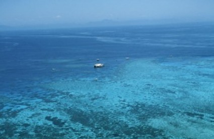 Veliki koraljni greben trpi posljedice klimatskih promjena
