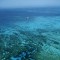 Transformacija Velikog koraljnog grebena