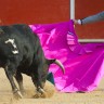 Matador zbog straha pobjegao pred bikom