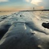 Meksički zaljev: BP priznaje pogrešku, ali ne i propust