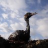 Zagađenje plastikom - 'skrivene' kemikalije talože se u morskim pticama