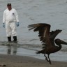Tropska oluja ugrožava čišćenje naftne mrlje u Meksičkom zaljevu 