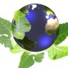 Zaštita okoliša - brojne vrste, jedan planet, jedna budućnost