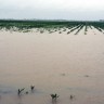 U Osječko-baranjskoj županiji palo 60 litara kiše po četvornom metru