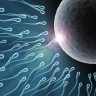Broj spermija kod zapadnjačkih muškaraca opada