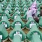 srebrenica17-110710.jpg