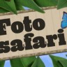Foto safari - novi edukativni program Zoološkog vrta Zagreb
