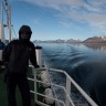 krstarenje Norveškim fjordovima