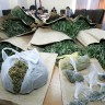 Zapljene marihuane u Zagrebu, Varaždinskim Toplicama i Veloj Luci