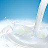 5 ukusnih zamjena za mlijeko