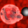 Nanobotima protiv raka?