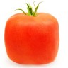 Četvrtasta super-rajčica usporava starenje