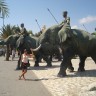 Slonovi i ja :))