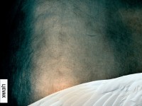 Knjigu Angelologija OSVOJIO JE: 