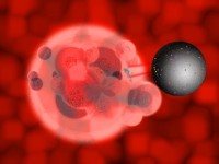 nanobot stanica rak tumor