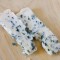 blue_cheese_shutter.jpg
