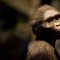 hominoid_lucy_getty.jpg