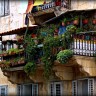 Tri ljetne biljke za prekrasan balkon