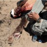 Osmero ubijenih u Afganistanu bili su civili humanitarci