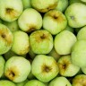 "Ekstra zdrave" jabuke kao nov odgovor na svjetske bolesti