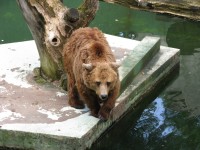 Osvojite ulaznice za Zoo vrt Zagreb!