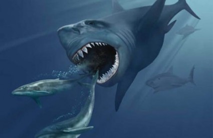 Megalodon