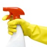 Kako čistiti kuću od mogućnosti zaraze