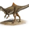 Otkriven prvi dinosaur sa šiljkom